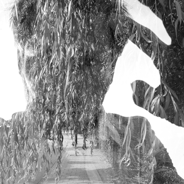 137CDA95-C9B1-4CAC-8AA0-91A0ED1A103B copy